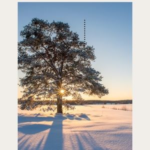 Meet your Posher, Jaime